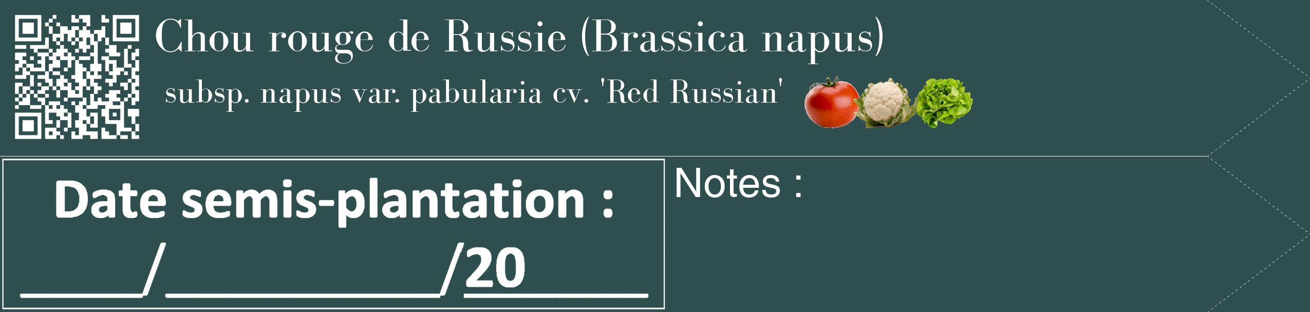 Étiquette de : Brassica napus subsp. napus var. pabularia cv. 'Red Russian' - format c - style blanche58_simple_simplebod avec qrcode et comestibilité simplifiée
