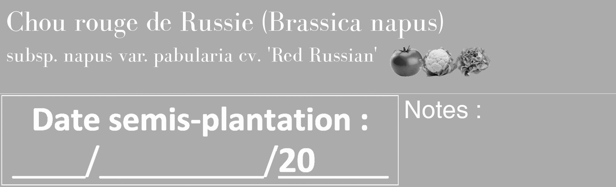 Étiquette de : Brassica napus subsp. napus var. pabularia cv. 'Red Russian' - format c - style blanche37_basique_basiquebod avec comestibilité simplifiée