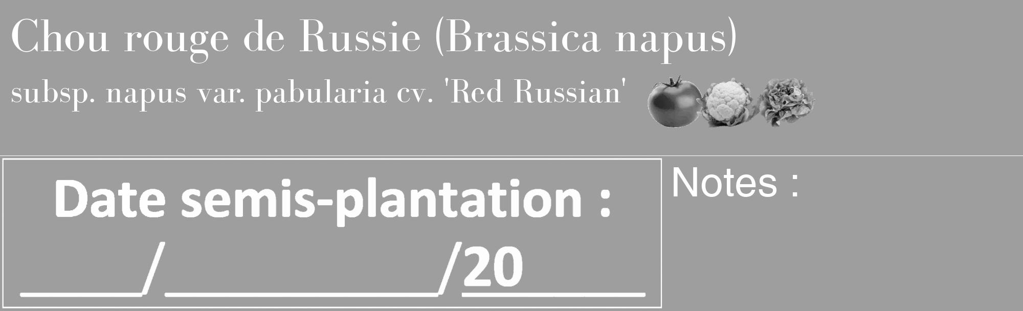 Étiquette de : Brassica napus subsp. napus var. pabularia cv. 'Red Russian' - format c - style blanche42_basique_basiquebod avec comestibilité simplifiée