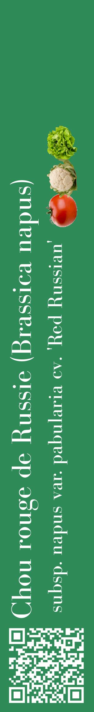 Étiquette de : Brassica napus subsp. napus var. pabularia cv. 'Red Russian' - format c - style blanche11_basiquebod avec qrcode et comestibilité simplifiée