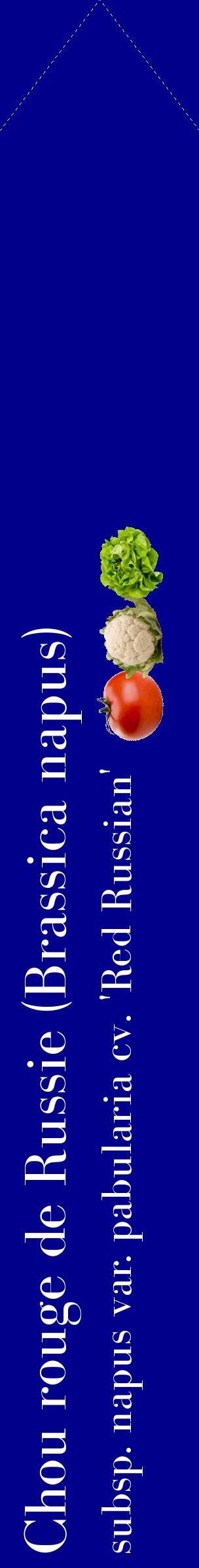 Étiquette de : Brassica napus subsp. napus var. pabularia cv. 'Red Russian' - format c - style blanche7_simplebod avec comestibilité simplifiée