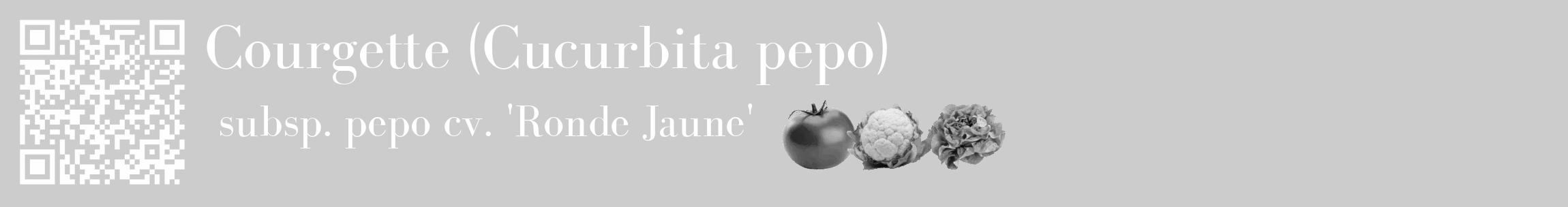 Étiquette de : Cucurbita pepo subsp. pepo cv. 'Ronde Jaune' - format c - style blanche0_basique_basiquebod avec qrcode et comestibilité simplifiée