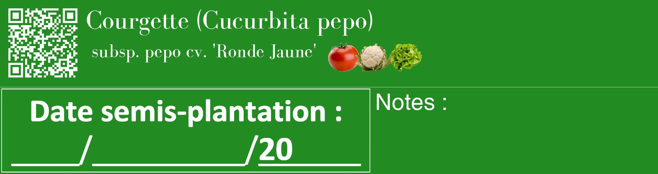 Étiquette de : Cucurbita pepo subsp. pepo cv. 'Ronde Jaune' - format c - style blanche10_basique_basiquebod avec qrcode et comestibilité simplifiée