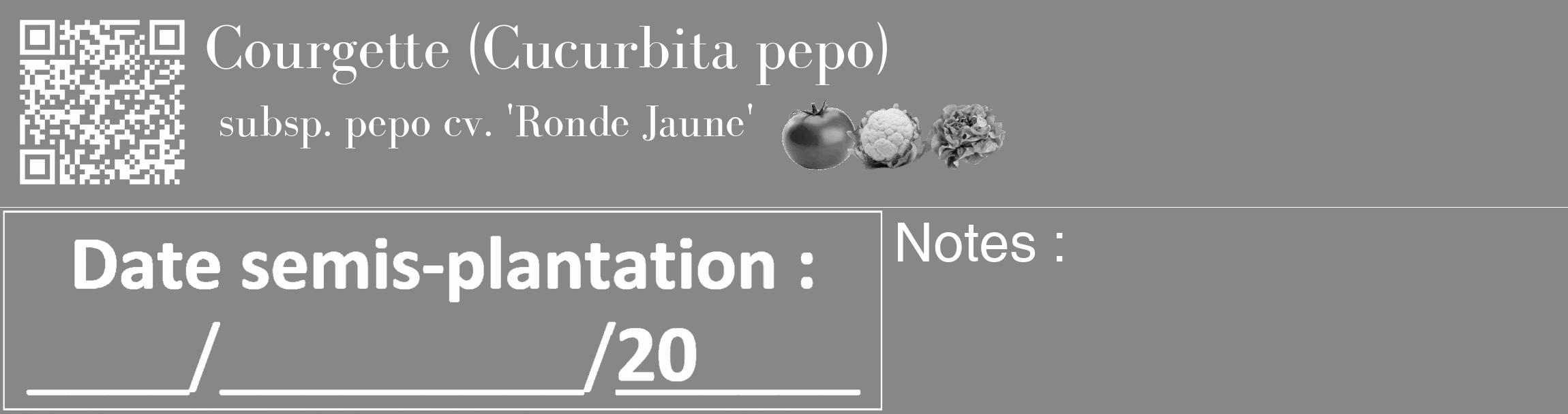 Étiquette de : Cucurbita pepo subsp. pepo cv. 'Ronde Jaune' - format c - style blanche12_basique_basiquebod avec qrcode et comestibilité simplifiée