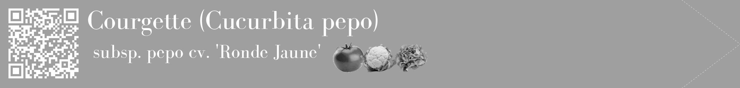 Étiquette de : Cucurbita pepo subsp. pepo cv. 'Ronde Jaune' - format c - style blanche24_simple_simplebod avec qrcode et comestibilité simplifiée