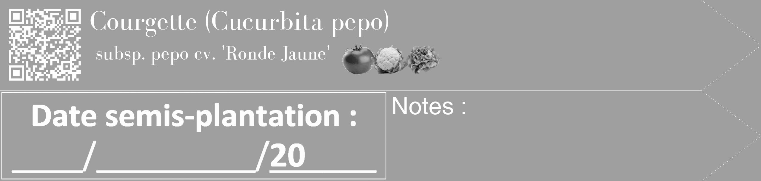 Étiquette de : Cucurbita pepo subsp. pepo cv. 'Ronde Jaune' - format c - style blanche24_simple_simplebod avec qrcode et comestibilité simplifiée