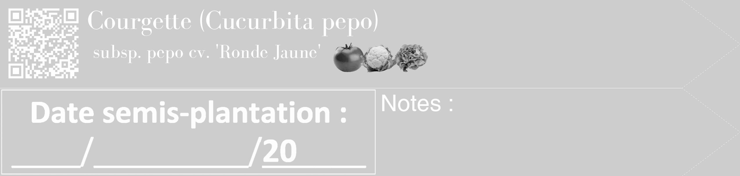 Étiquette de : Cucurbita pepo subsp. pepo cv. 'Ronde Jaune' - format c - style blanche41_simple_simplebod avec qrcode et comestibilité simplifiée