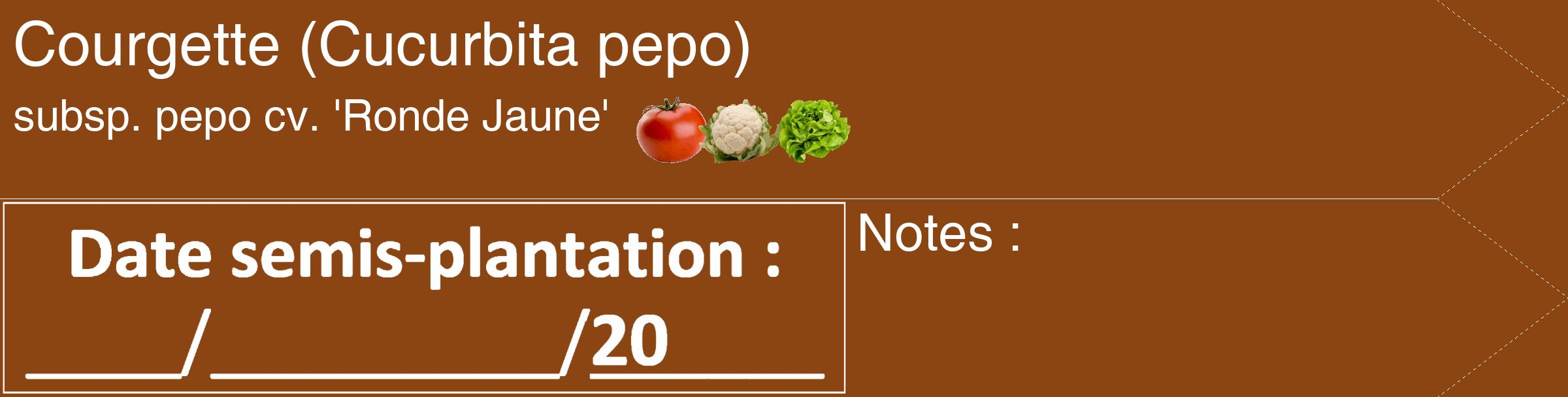 Étiquette de : Cucurbita pepo subsp. pepo cv. 'Ronde Jaune' - format c - style blanche30_simple_simplehel avec comestibilité simplifiée