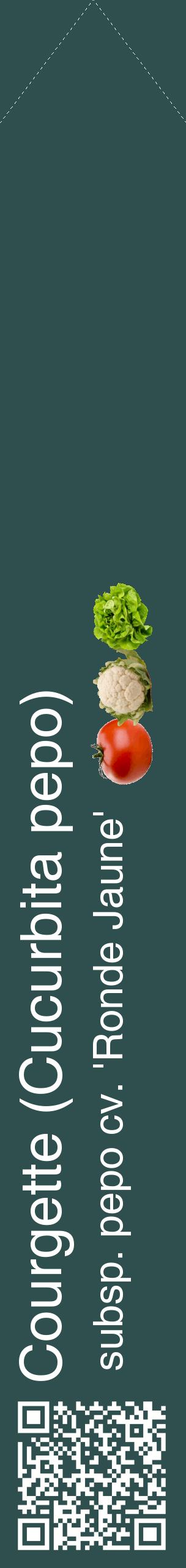 Étiquette de : Cucurbita pepo subsp. pepo cv. 'Ronde Jaune' - format c - style blanche58_simplehel avec qrcode et comestibilité simplifiée