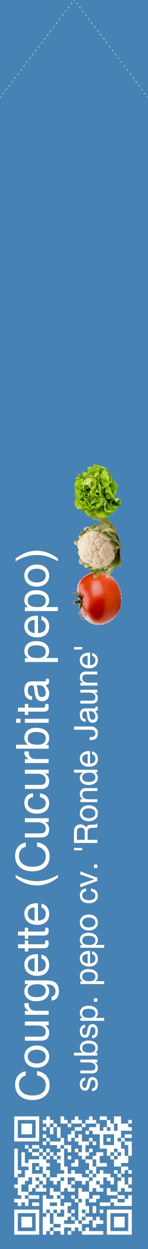 Étiquette de : Cucurbita pepo subsp. pepo cv. 'Ronde Jaune' - format c - style blanche5_simplehel avec qrcode et comestibilité simplifiée