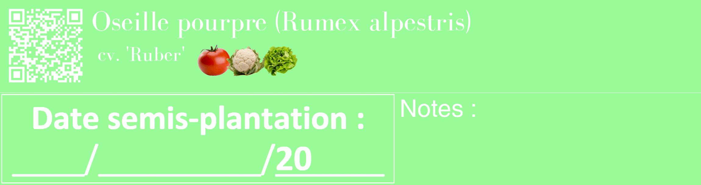 Étiquette de : Rumex alpestris cv. 'Ruber' - format c - style blanche14_basique_basiquebod avec qrcode et comestibilité simplifiée