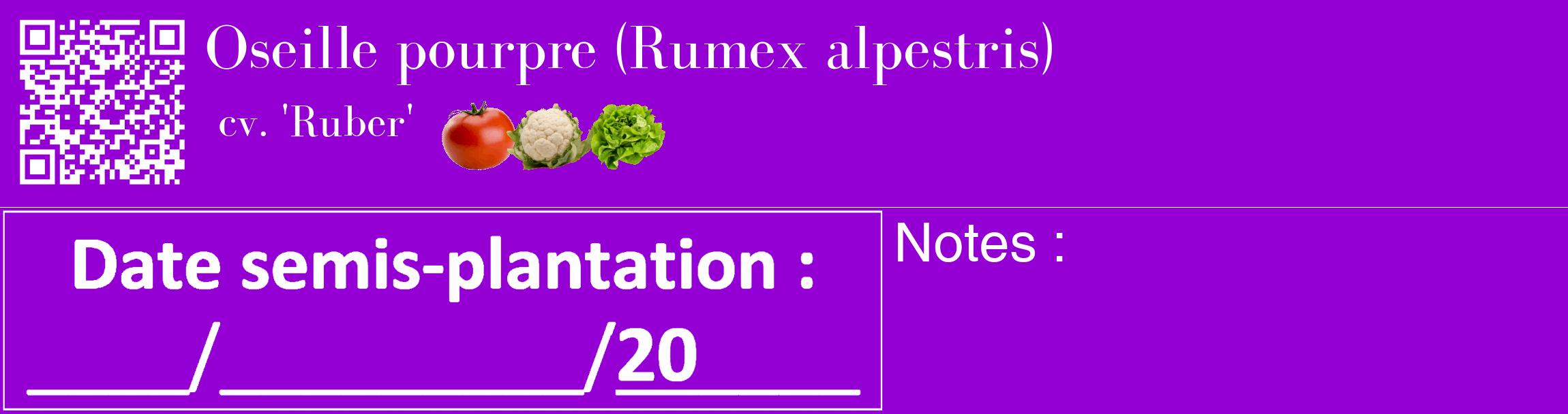 Étiquette de : Rumex alpestris cv. 'Ruber' - format c - style blanche48_basique_basiquebod avec qrcode et comestibilité simplifiée