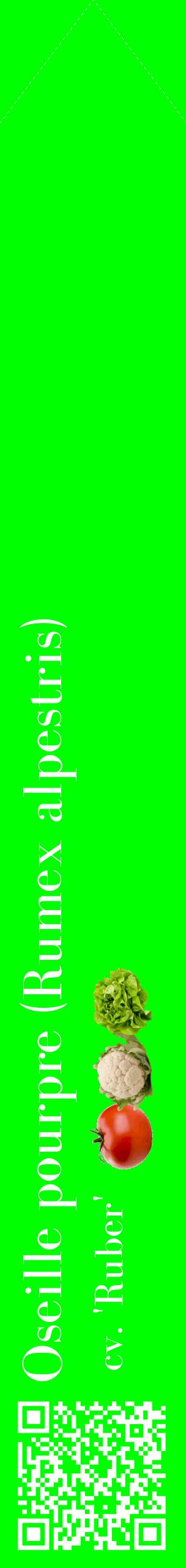 Étiquette de : Rumex alpestris cv. 'Ruber' - format c - style blanche16_simplebod avec qrcode et comestibilité simplifiée