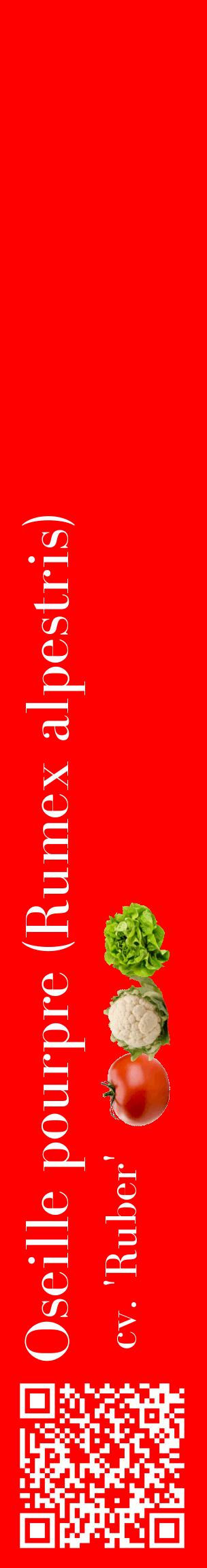 Étiquette de : Rumex alpestris cv. 'Ruber' - format c - style blanche27_basiquebod avec qrcode et comestibilité simplifiée