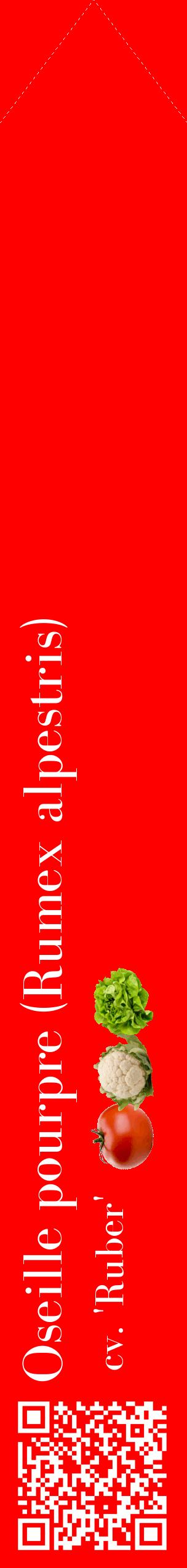 Étiquette de : Rumex alpestris cv. 'Ruber' - format c - style blanche27_simplebod avec qrcode et comestibilité simplifiée