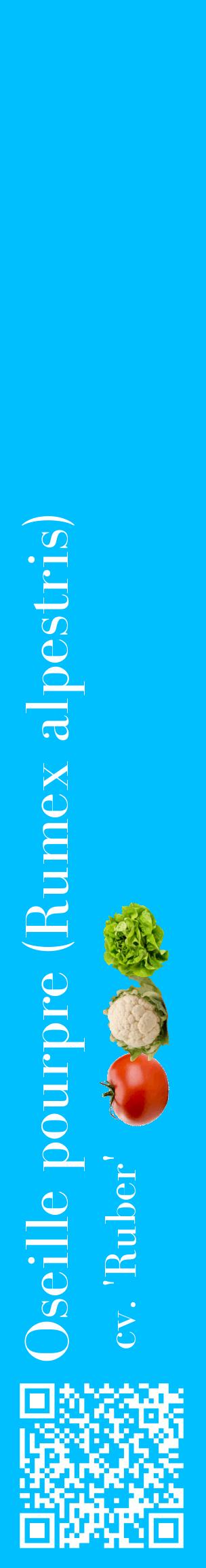 Étiquette de : Rumex alpestris cv. 'Ruber' - format c - style blanche2_basiquebod avec qrcode et comestibilité simplifiée