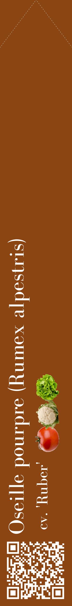 Étiquette de : Rumex alpestris cv. 'Ruber' - format c - style blanche30_simplebod avec qrcode et comestibilité simplifiée
