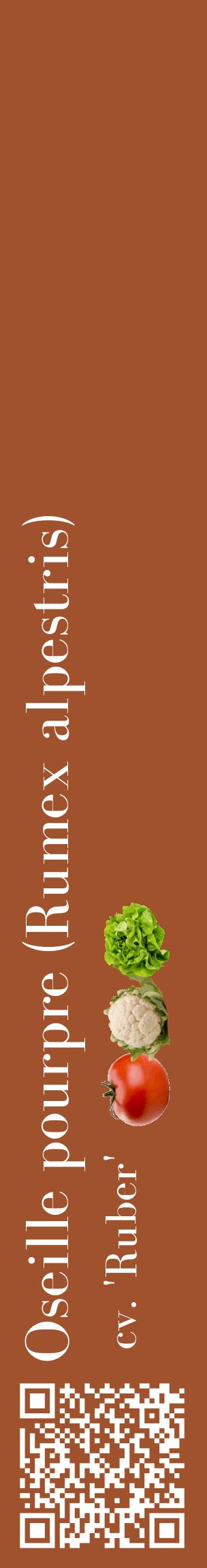 Étiquette de : Rumex alpestris cv. 'Ruber' - format c - style blanche32_basiquebod avec qrcode et comestibilité simplifiée