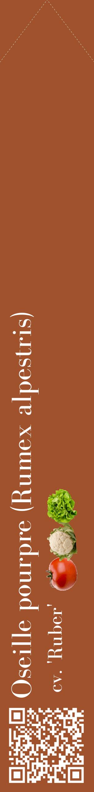 Étiquette de : Rumex alpestris cv. 'Ruber' - format c - style blanche32_simplebod avec qrcode et comestibilité simplifiée