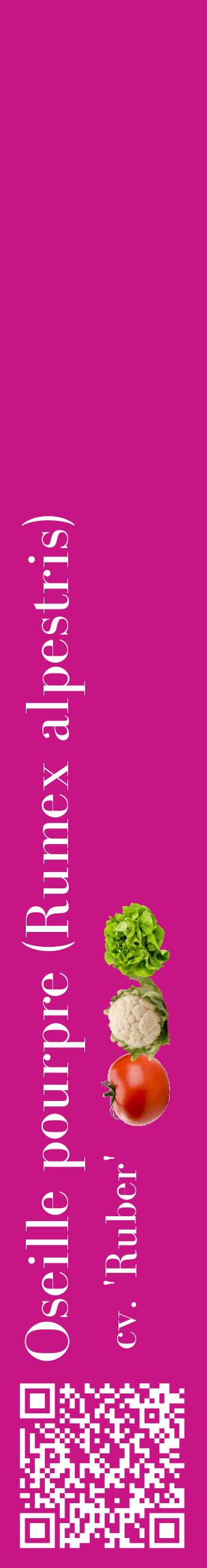 Étiquette de : Rumex alpestris cv. 'Ruber' - format c - style blanche45_basiquebod avec qrcode et comestibilité simplifiée