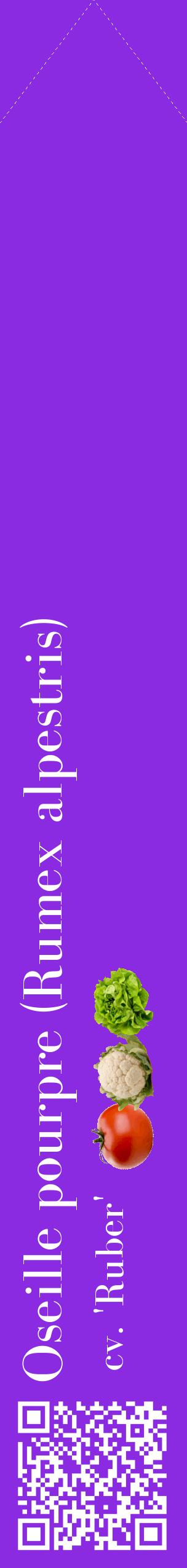 Étiquette de : Rumex alpestris cv. 'Ruber' - format c - style blanche49_simplebod avec qrcode et comestibilité simplifiée
