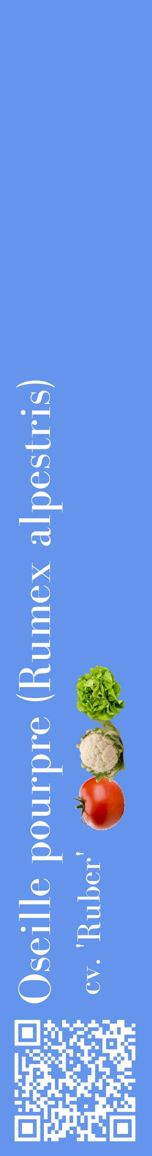 Étiquette de : Rumex alpestris cv. 'Ruber' - format c - style blanche4_basiquebod avec qrcode et comestibilité simplifiée