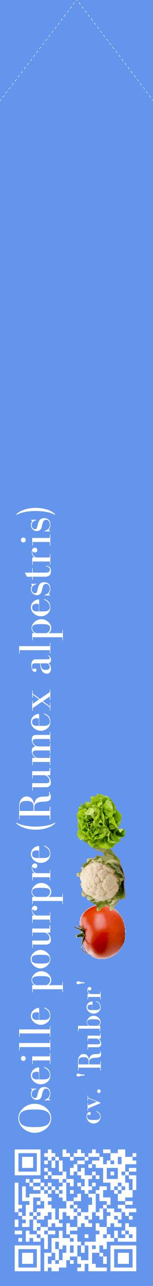 Étiquette de : Rumex alpestris cv. 'Ruber' - format c - style blanche4_simplebod avec qrcode et comestibilité simplifiée