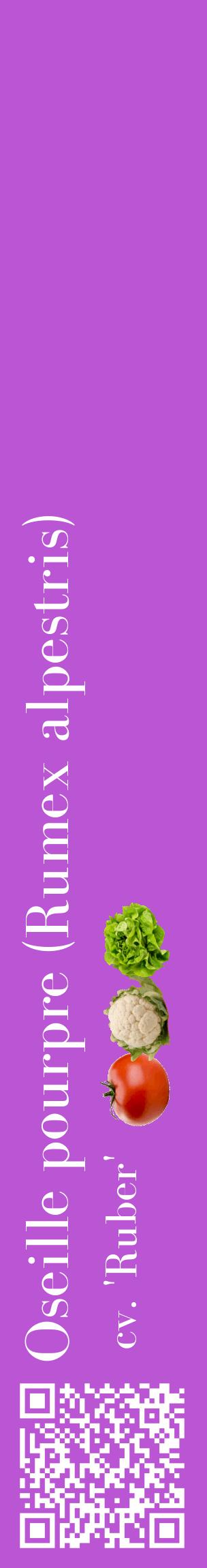 Étiquette de : Rumex alpestris cv. 'Ruber' - format c - style blanche50_basiquebod avec qrcode et comestibilité simplifiée