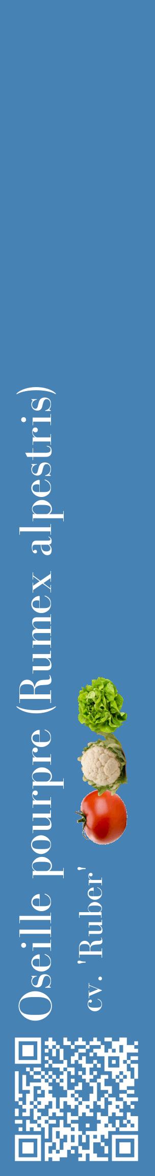 Étiquette de : Rumex alpestris cv. 'Ruber' - format c - style blanche5_basiquebod avec qrcode et comestibilité simplifiée