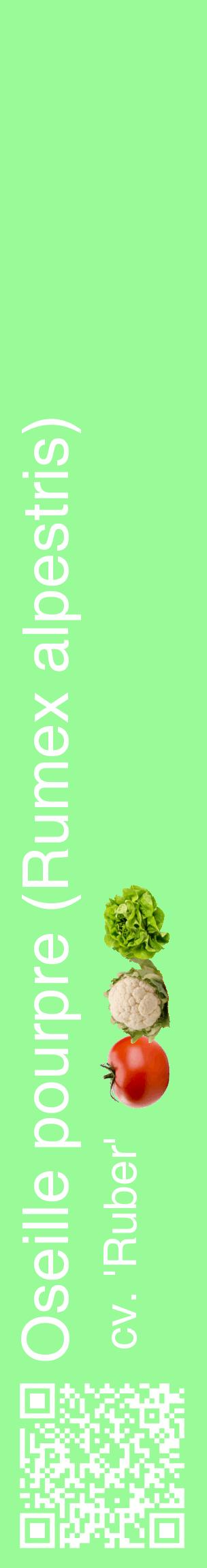 Étiquette de : Rumex alpestris cv. 'Ruber' - format c - style blanche14_basiquehel avec qrcode et comestibilité simplifiée