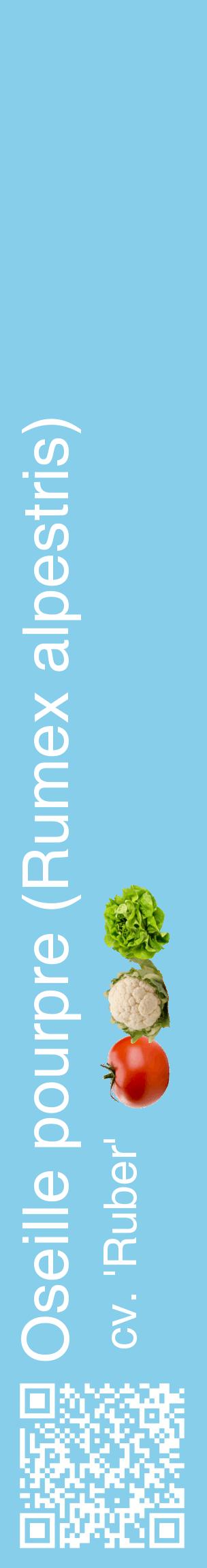 Étiquette de : Rumex alpestris cv. 'Ruber' - format c - style blanche1_basiquehel avec qrcode et comestibilité simplifiée