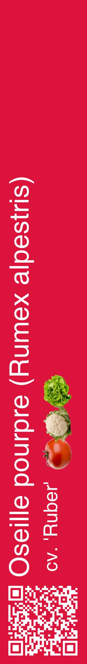 Étiquette de : Rumex alpestris cv. 'Ruber' - format c - style blanche36_basiquehel avec qrcode et comestibilité simplifiée