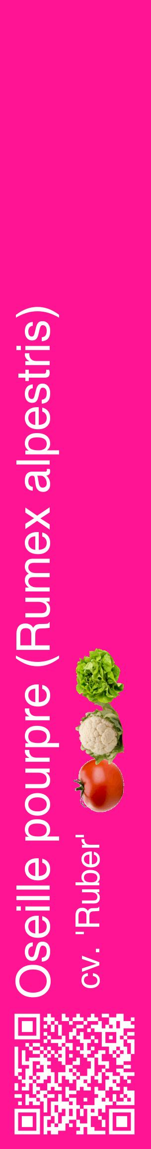 Étiquette de : Rumex alpestris cv. 'Ruber' - format c - style blanche43_basiquehel avec qrcode et comestibilité simplifiée
