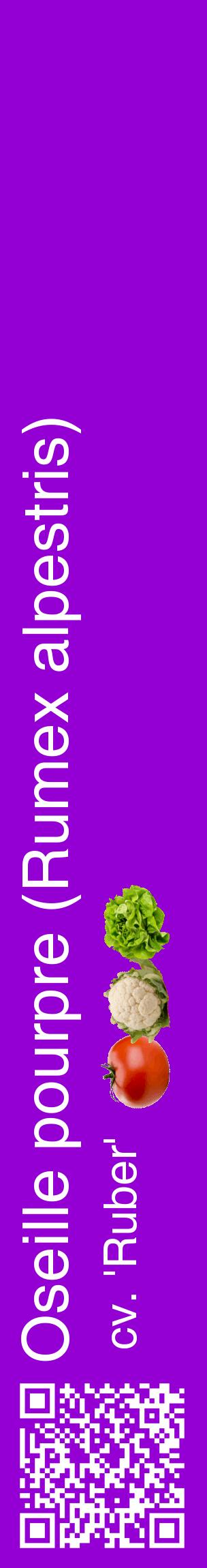 Étiquette de : Rumex alpestris cv. 'Ruber' - format c - style blanche48_basiquehel avec qrcode et comestibilité simplifiée