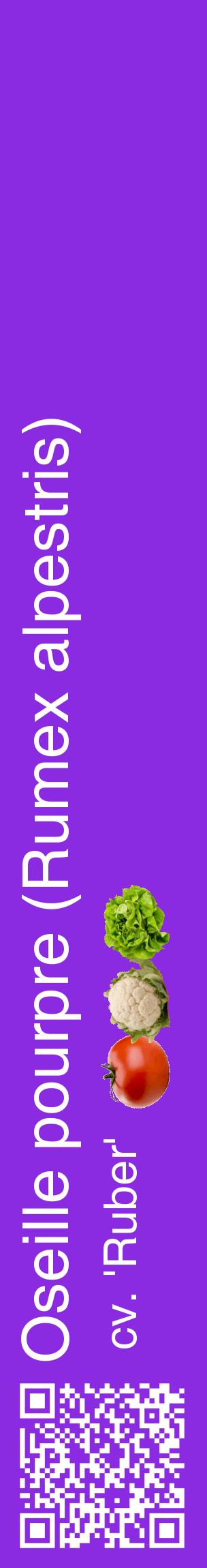 Étiquette de : Rumex alpestris cv. 'Ruber' - format c - style blanche49_basiquehel avec qrcode et comestibilité simplifiée