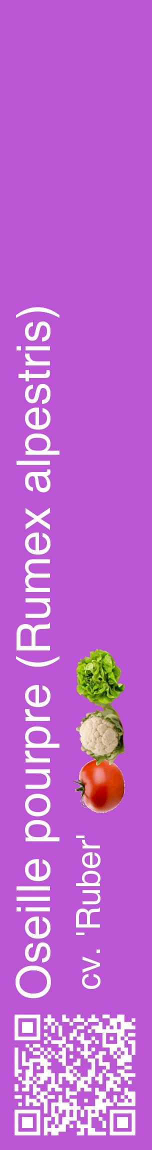 Étiquette de : Rumex alpestris cv. 'Ruber' - format c - style blanche50_basiquehel avec qrcode et comestibilité simplifiée