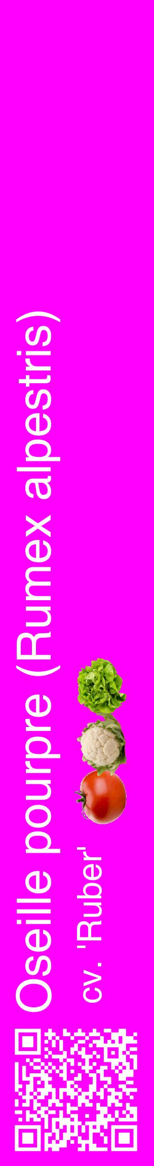 Étiquette de : Rumex alpestris cv. 'Ruber' - format c - style blanche51_basiquehel avec qrcode et comestibilité simplifiée