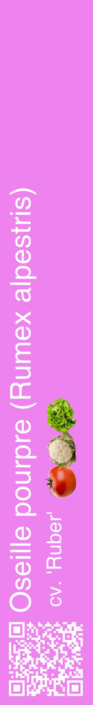 Étiquette de : Rumex alpestris cv. 'Ruber' - format c - style blanche53_basiquehel avec qrcode et comestibilité simplifiée