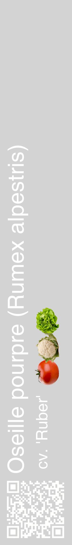 Étiquette de : Rumex alpestris cv. 'Ruber' - format c - style blanche56_basiquehel avec qrcode et comestibilité simplifiée