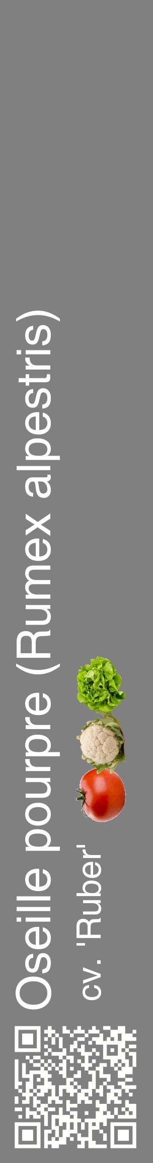 Étiquette de : Rumex alpestris cv. 'Ruber' - format c - style blanche57_basiquehel avec qrcode et comestibilité simplifiée