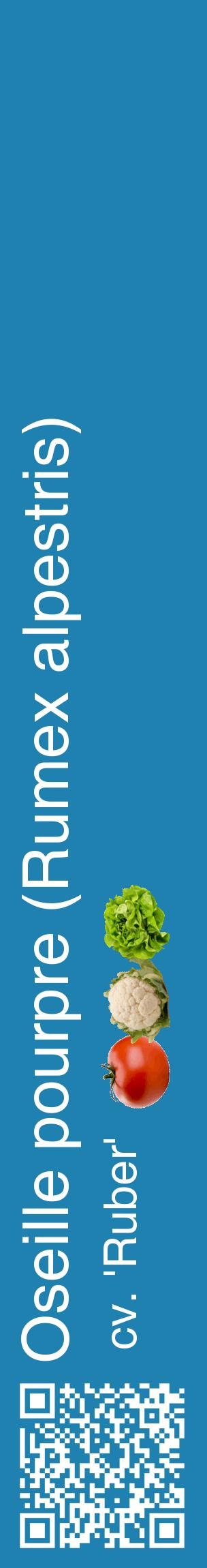 Étiquette de : Rumex alpestris cv. 'Ruber' - format c - style blanche6_basiquehel avec qrcode et comestibilité simplifiée