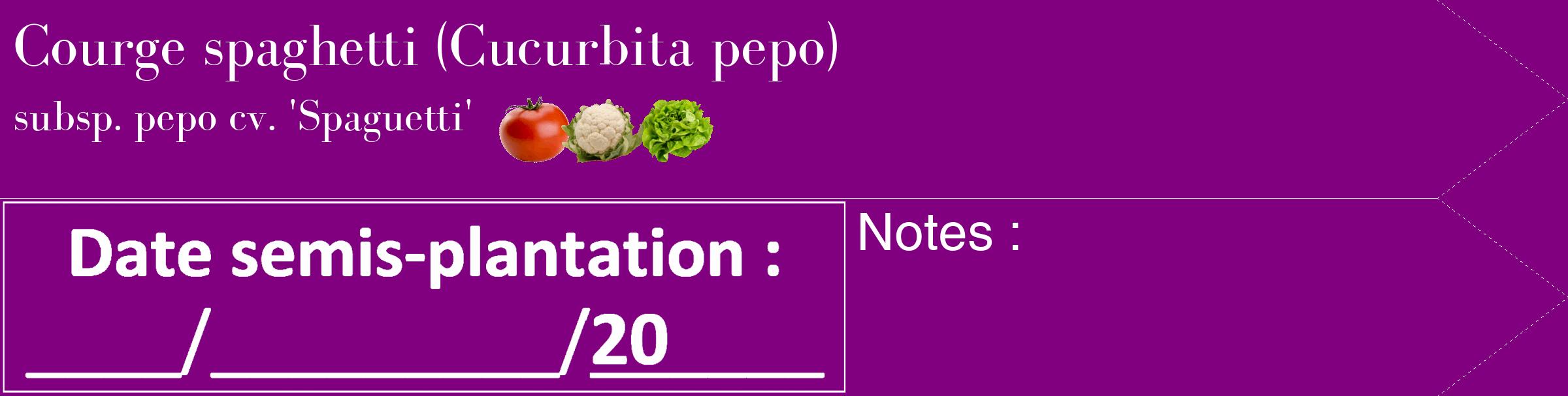 Étiquette de : Cucurbita pepo subsp. pepo cv. 'Spaguetti' - format c - style blanche46_simple_simplebod avec comestibilité simplifiée