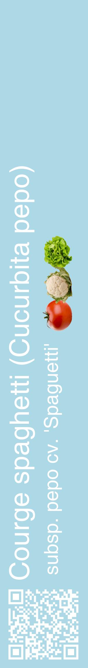 Étiquette de : Cucurbita pepo subsp. pepo cv. 'Spaguetti' - format c - style blanche0_basiquehel avec qrcode et comestibilité simplifiée