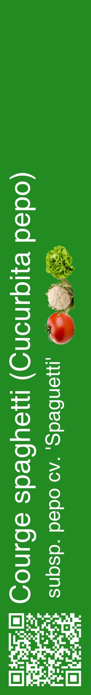 Étiquette de : Cucurbita pepo subsp. pepo cv. 'Spaguetti' - format c - style blanche10_basiquehel avec qrcode et comestibilité simplifiée