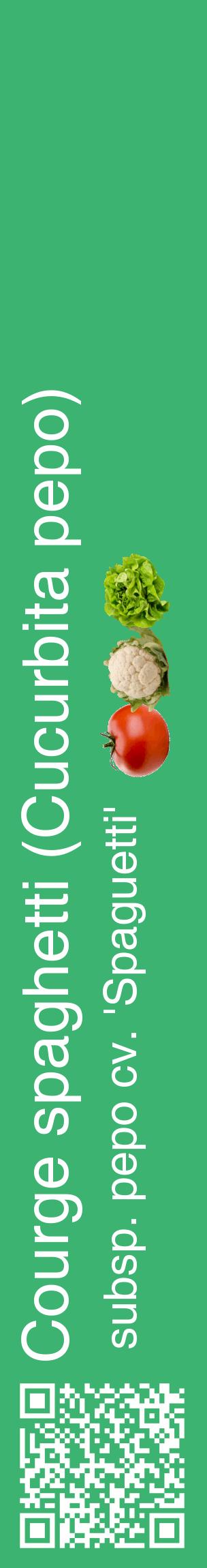 Étiquette de : Cucurbita pepo subsp. pepo cv. 'Spaguetti' - format c - style blanche12_basiquehel avec qrcode et comestibilité simplifiée