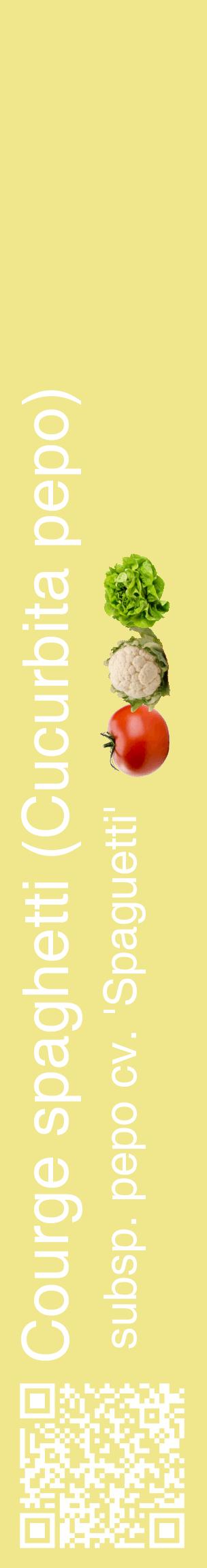 Étiquette de : Cucurbita pepo subsp. pepo cv. 'Spaguetti' - format c - style blanche20_basiquehel avec qrcode et comestibilité simplifiée
