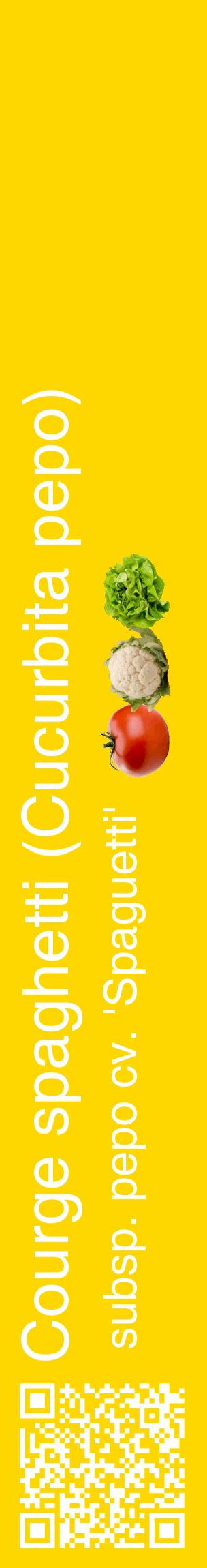 Étiquette de : Cucurbita pepo subsp. pepo cv. 'Spaguetti' - format c - style blanche21_basiquehel avec qrcode et comestibilité simplifiée