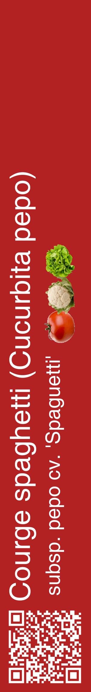 Étiquette de : Cucurbita pepo subsp. pepo cv. 'Spaguetti' - format c - style blanche28_basiquehel avec qrcode et comestibilité simplifiée