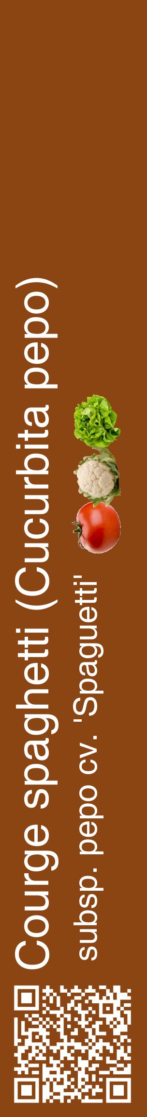 Étiquette de : Cucurbita pepo subsp. pepo cv. 'Spaguetti' - format c - style blanche30_basiquehel avec qrcode et comestibilité simplifiée