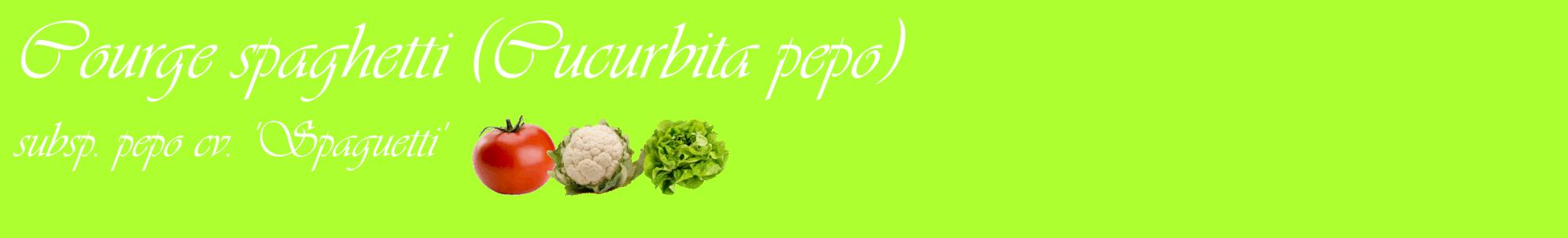 Étiquette de : Cucurbita pepo subsp. pepo cv. 'Spaguetti' - format c - style blanche17basique_basique_basiqueviv avec comestibilité simplifiée